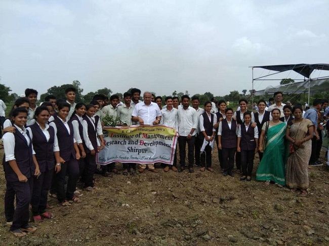 Tree Plantation